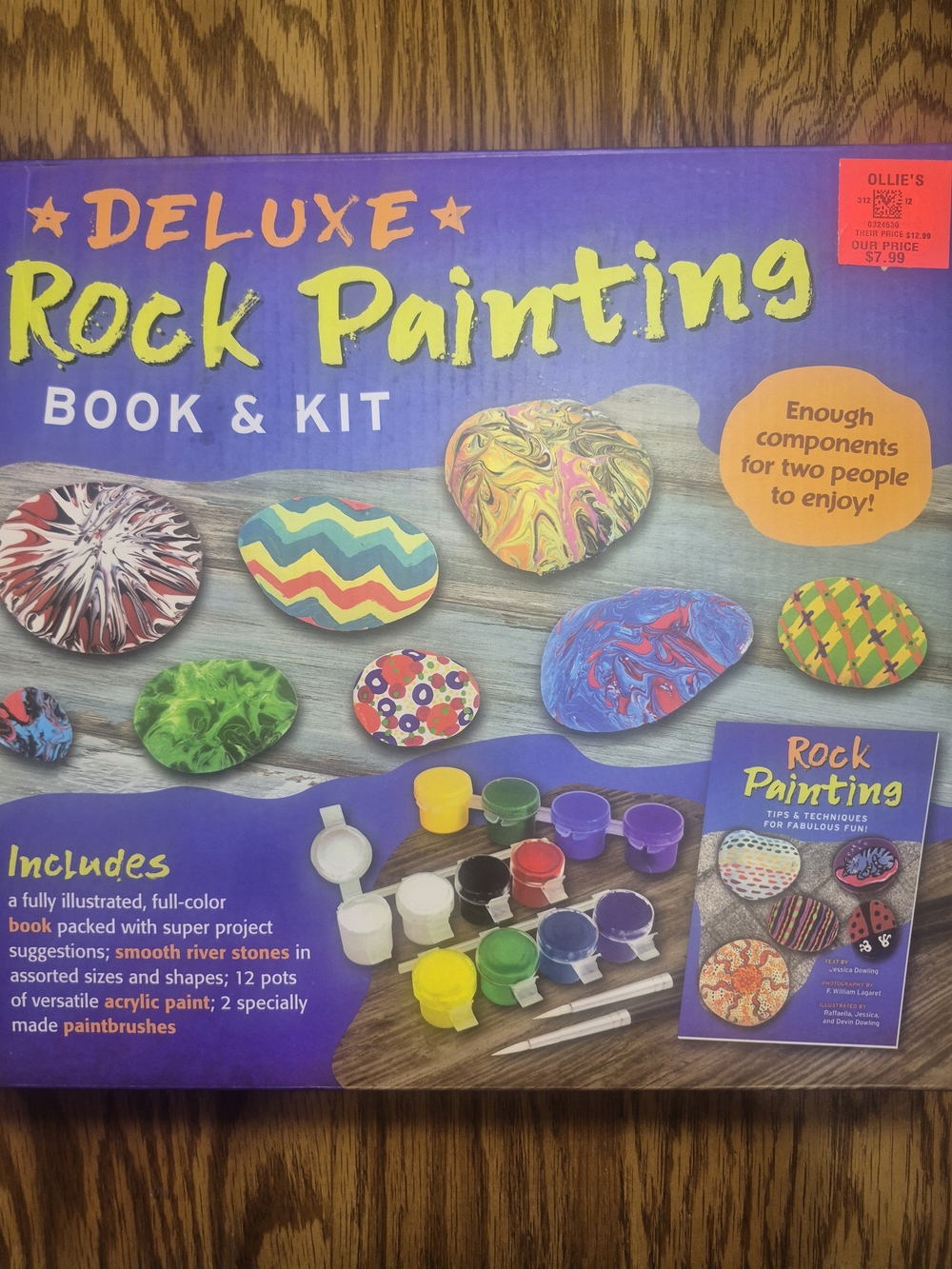 Deluxe Rock Painting Book & Kit - Multicolor
